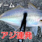 【アジング】デイアジングでデカアジの釣り方。気になる尺アジクラスの回遊の回数は1日…。ガルプワーム を投げてみました。