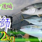 【ブリジギング・前編】新潟粟島で10kgオーバー含む寒鰤が大量！大荒れの日本海で釣果が凄いことに！