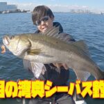 11月の湾奥シーバス釣り！