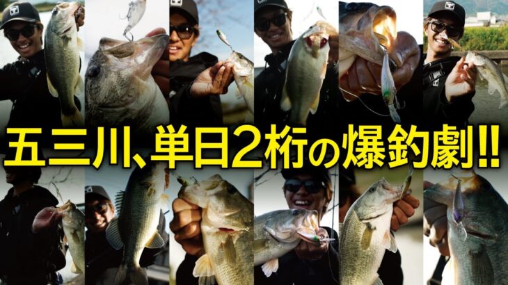 【バス釣り】単日２桁の爆釣劇!11月24日の五三川ソウルシャッドパターン /加木屋守