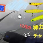 【鹿島灘サーフ】ヒラメを狙いに！雨ニモマケズ12月のサーフへ🎣