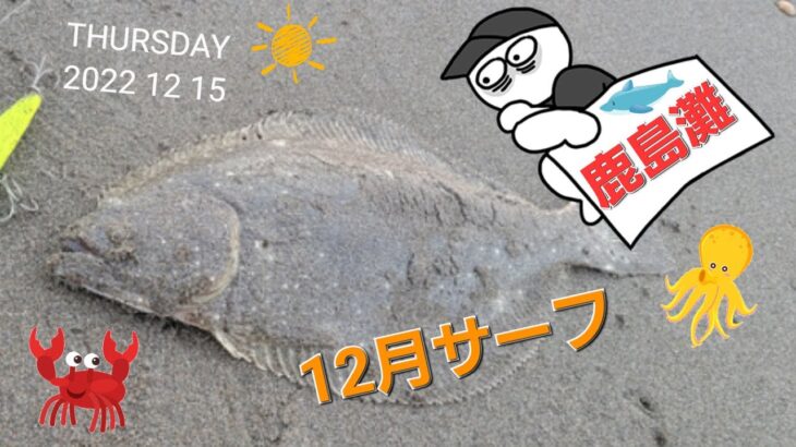 【鹿島灘サーフ】ヒラメを狙いに🎣12月のサーフはまだまだチャンスがある！