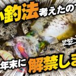 【エギング検証】釣りすぎ注意⁉︎アオリイカを1投で2杯釣る方法！年末スペシャル