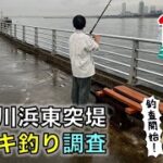 12月の検見川浜東突堤サビキ釣り調査｜初めての朝マヅメであの魚が入れ食い