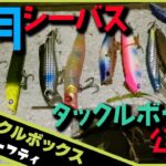 突撃タックルボックスゆーき12月編　シーバスを狙う作戦はワクワクします🎣