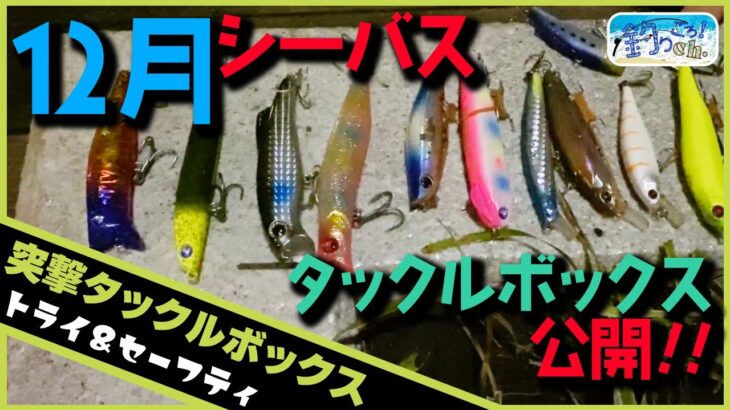 突撃タックルボックスゆーき12月編　シーバスを狙う作戦はワクワクします🎣