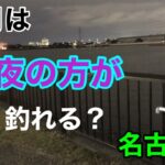 12月は夜の方がよく釣れる？名古屋港