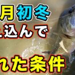 【バス釣り】12月初冬釣れない人見てください。釣れない理由や釣れる時間・タイミング・場所などを徹底解説してみた【冬のバス釣り】【全然釣れなかったのに釣れ出した考え】【晩秋のバス釣り】【リアクション】