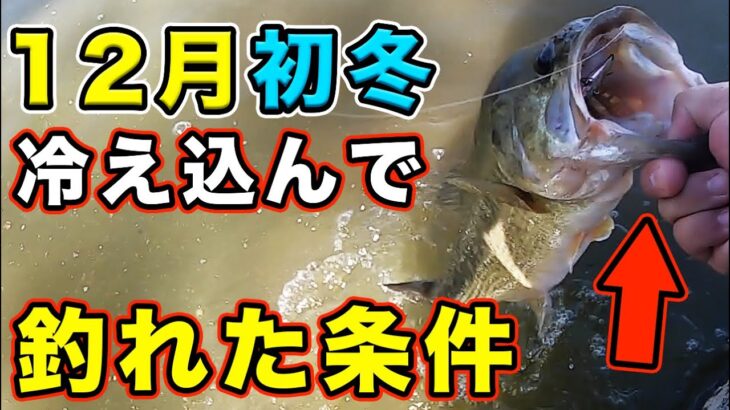 【バス釣り】12月初冬釣れない人見てください。釣れない理由や釣れる時間・タイミング・場所などを徹底解説してみた【冬のバス釣り】【全然釣れなかったのに釣れ出した考え】【晩秋のバス釣り】【リアクション】