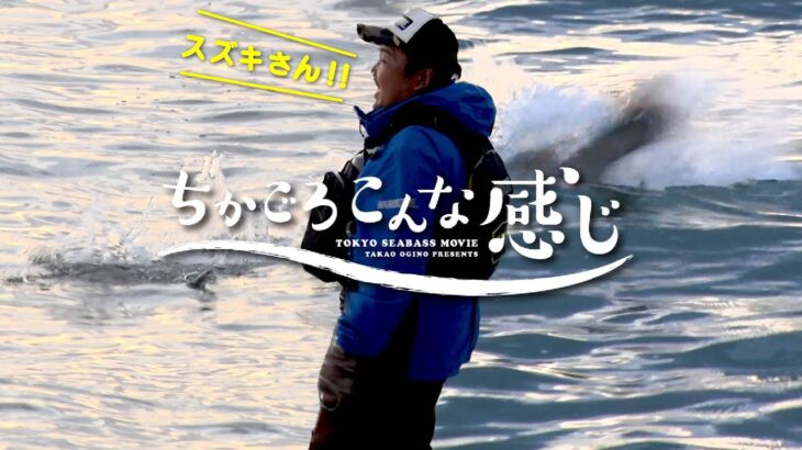 ちかごろこんな感じ～東京湾 陸っぱりシーバス～冬の新舞子・利根川シーバスゲーム/荻野貴生(1258)