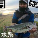 12月の霞ヶ浦水系！寒くて食わないバスに必殺のRDS！