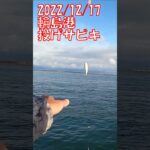 12月の輪島港で投げサビキ釣りTake2 #shorts