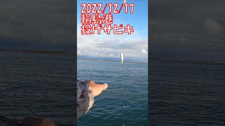 12月の輪島港で投げサビキ釣りTake2 #shorts