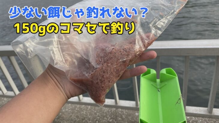 少ない餌じゃ釣れない？150gのコマセで釣り