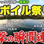 【ボイル撃ち】20匹のブラックバスが在来種を一斉に食い荒らす瞬間【バス釣り】