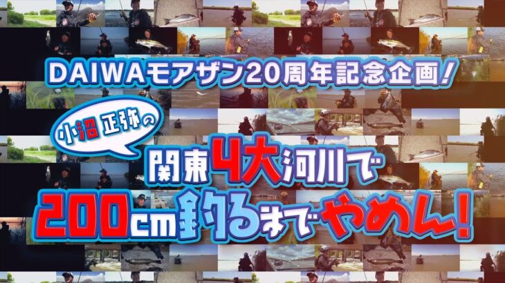 【モアザン20周年記念企画】シーバス200cm釣るまでやめん！小沼正弥in関東4大河川