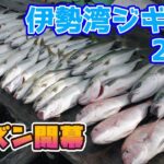 釣れだしましたよ！伊勢湾 鳥羽のライトジギング【2022】