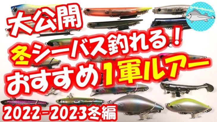 【大公開】冬シーバスが釣れるオススメ１軍ルアー！（2022-2023冬編）ルアーの選び方や使い方も解説してます！