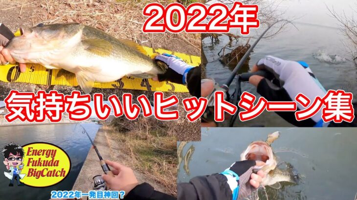 【最高】2022年バス釣りヒットシーンまとめ。今年最大サイズのブラックバスの腹がヤバかった