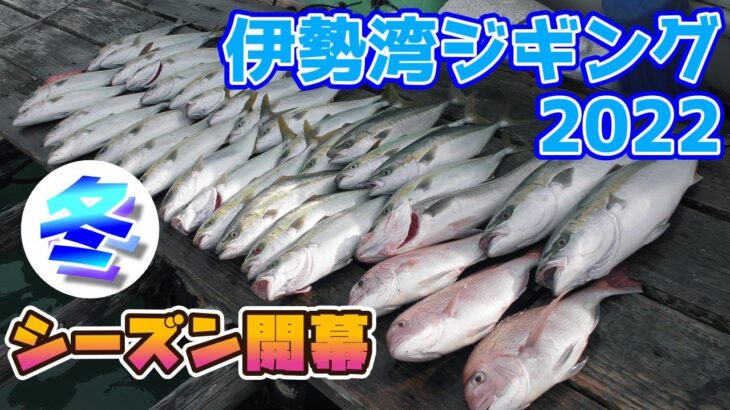 釣れだしましたよ！伊勢湾 鳥羽のライトジギング【2022】