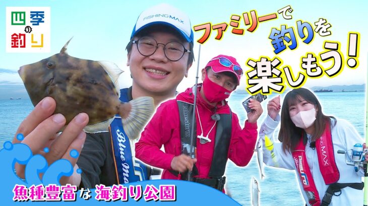 魚種豊富な海釣り公園　ファミリーで釣りを楽しもう！（四季の釣り/2022年10月28日）