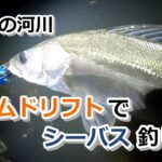 初冬の河川　ボトムドリフトでシーバス釣り【2022年12月4日】