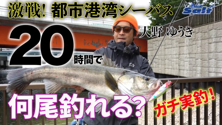 シーバスエキスパートは20時間で何尾シーバスが釣れるかチャレンジ！大野ゆうきin東京湾【DAIWAモアザン20周年記念企画】