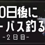 【2日目】雨でも100日後にシーバス釣るチャレンジ【初心者釣り女子】