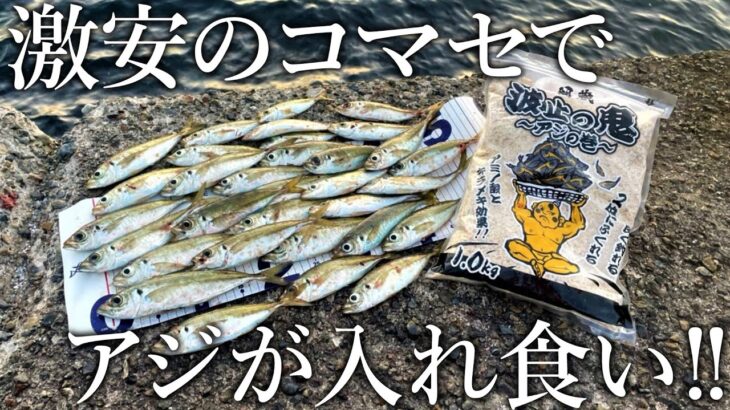 投げサビキ釣りで良型のアジが入れ食い！アタリが止まらない230円の激安アジ専用コマセを紹介します