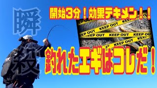 【エギング】瞬釣！食わせの姿勢が効果テキメン！たった3分で釣れたエギはコレだ！！