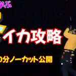 冬イカエギング攻略！まだまだ全国釣れる？同じ場所・立ち位置で30分勝負ノーカットで見せます！プロから学ぶ冬イカの狙い方