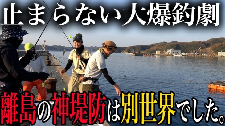 ちょっと変な大人4名が夢の島でやりたい放題。サビキに泳がせ…欲張りフルコースで大満足だった件。【2022対馬遠征Part1:神堤防はお魚天国編】