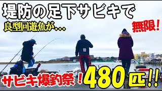 堤防サビキしたら巨大マイワシが480匹爆釣しました！足下で５種類の釣り方をしたら潜水艦級が大漁で止まらなかった！