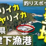 【室津下漁港】イカ釣りの聖地。ファミリーフィッシングに最適な人気の漁港。他にも魚種豊富。釣りスポット空撮【山口県 下関市】   4K