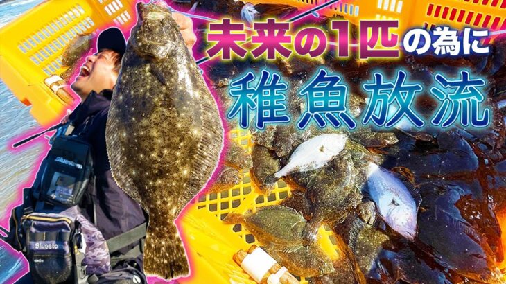 【ヒラメ釣り】朝にヒラメを釣った後、5500匹のヒラメを放流してきました。