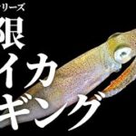 冬の新エギング・ヒイカはアジングタックルで爆釣【お魚ドラマシリーズ6話目】