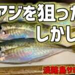 尺アジを狙って淡路島でサビキ釣り！まさかのノマセでヒラメ60センチ！？【淡路島釣り】