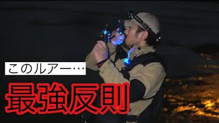 【シーバス】やっぱこのルアーすごいわ…BlueBlueテスター日常の釣り