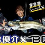 【ランカー出現】BlueBlue高橋優介プロVSデニス松下&コロチキナダル東京湾シーバスバトル！コノシロパターンに挑戦！