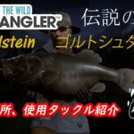 Call of the Wild:The Angler　伝説のブラックバス　Goldstein(ゴルトシュタイン)　fishing guide