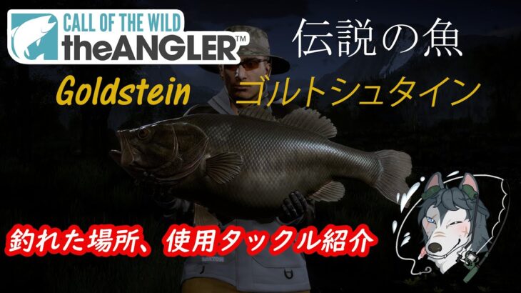 Call of the Wild:The Angler　伝説のブラックバス　Goldstein(ゴルトシュタイン)　fishing guide