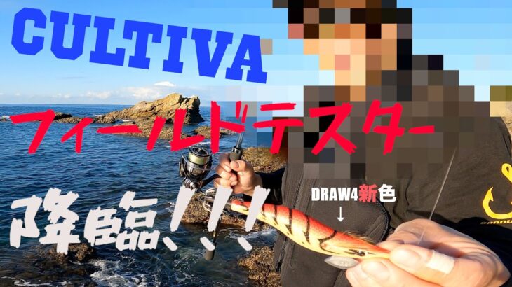 【エギング】あのDRAW4のテスターが…電撃参戦！！！爆釣なるか？？？