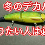 【冬琵琶湖バス釣り】ネコソギDSRの使い方と最強タックル！ファットラボ代表 藤本昌克さんからヒントをもらう【ビッグベイトデッドスローの使い方】