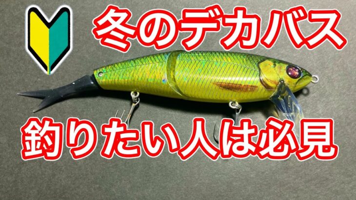 【冬琵琶湖バス釣り】ネコソギDSRの使い方と最強タックル！ファットラボ代表 藤本昌克さんからヒントをもらう【ビッグベイトデッドスローの使い方】