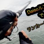 ダイソージグヘッドルアーでランカーシーバス‼︎Daisoルアーでシーバスを狙う︎