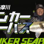 【シーバス】秋の多摩川でランカーシーバスを狙う【FISHING DOOR】