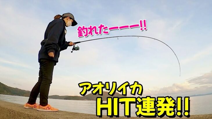 【エギング】気持ちいいHIT 連発～!! 誘い方から釣れるまでノーカットで… (アオリイカ)