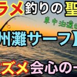 ヒラメ釣りの聖地・遠州灘サーフに遠征してきました。【車中泊釣行】朝まずめの時合いに良型の高級魚がHIT！？