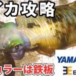 【エギング】釣れ続ける鉄板エギで良型アオリイカが釣れた！（冬開幕）（エギ王K）