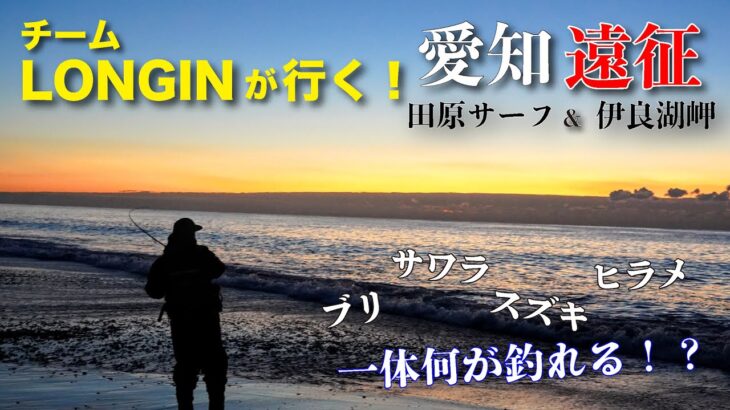 【サーフ】チームLONGINが行く！愛知県渥美半島遠征 in 田原サーフ＆伊良湖岬　激戦区サーフをミノーとシンペンでブリ・サワラ・スズキ・ヒラメを狙ってきました！総集編